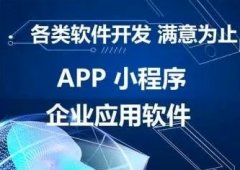 网站开发、定制服务、手机网站、小程序开发、管理系统